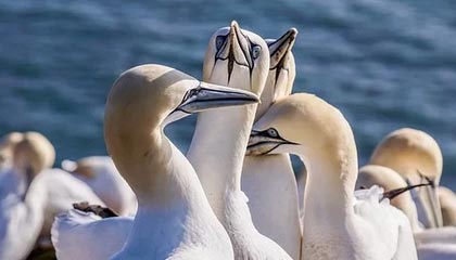 乐鱼官网入口-中国女篮出征世界杯 全队斗志昂扬，中国女篮世界大赛