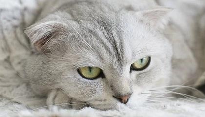 乐鱼官网入口-中国女篮出征世界杯 全队斗志昂扬，中国女篮世界大赛