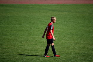 APP下载 LY Sports-世界青年滑板锦标赛中国少年夺奖，青少年滑板联赛