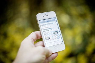 乐鱼体育平台登录-智能训练辅助系统开发与应用，智能训练处理