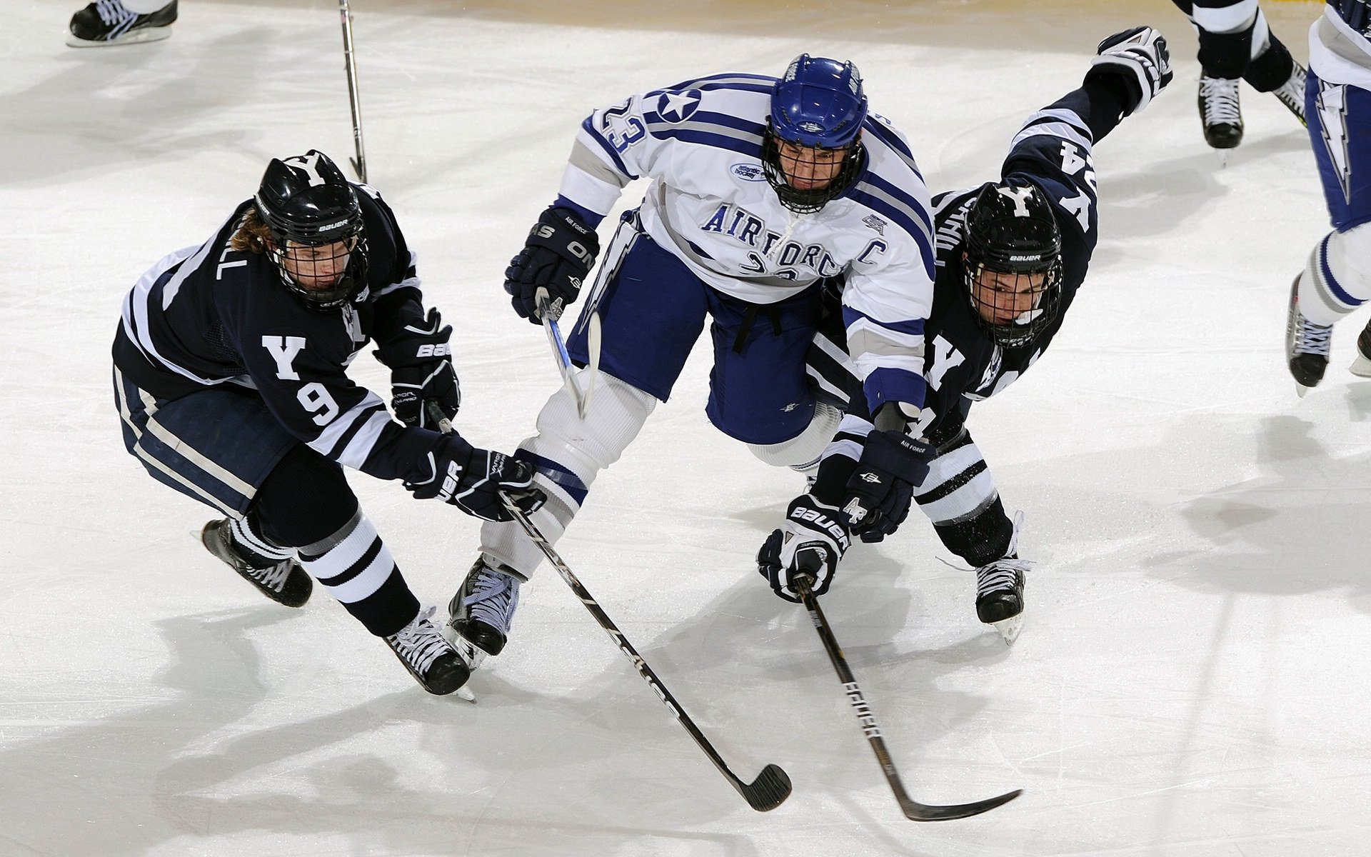 关注残疾人体育赛事的暖心新闻中心，重要残疾人体育赛事